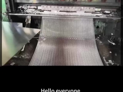 15mm Swm X 30mm Lwm Χάλυβα Επεκτεινόμενα φύλλα μετάλλου για μοναδικά σχέδια